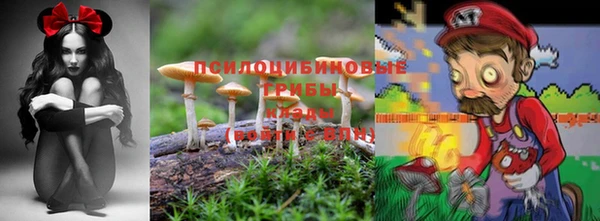 спиды Беломорск