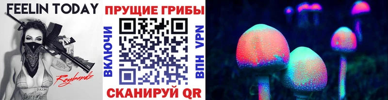 Галлюциногенные грибы Magic Shrooms где продают наркотики Нерехта